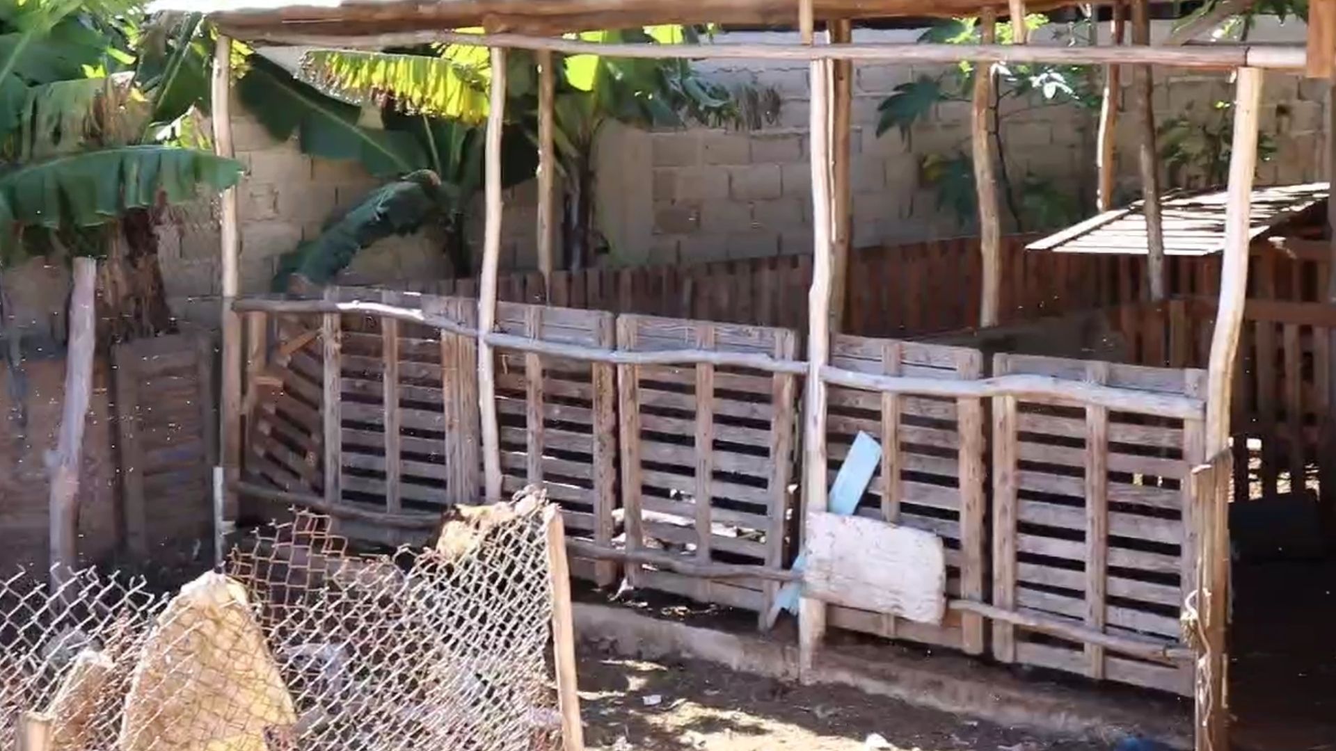 hedor-de-criadero-de-animales-afecta-moradores-del-barrio-los-angelitos-en-constanza