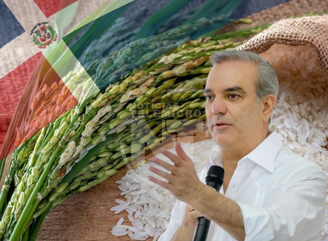presidente-abinader-impone-aranceles-al-arroz-importado-de-estados-unidos-y-nicaragua
