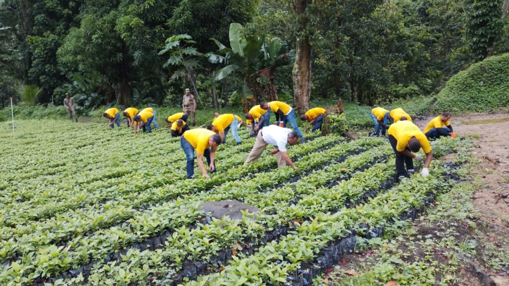 privados-de-libertad-plantaron-mas-de-3,000-arboles-durante-2024