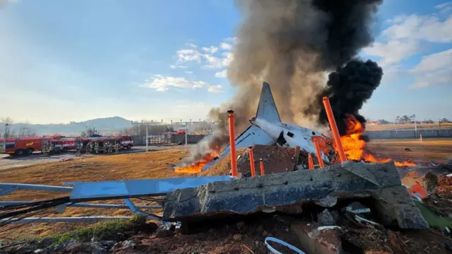 tren-de-aterrizaje-y-aparente-impacto-con-un-pajaro,-posibles-causas-en-accidente-de-corea-del-sur