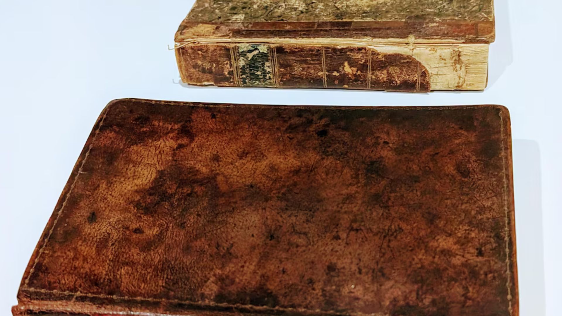 polemica-en-inglaterra-por-exhibicion-de-libro-en-piel-humana
