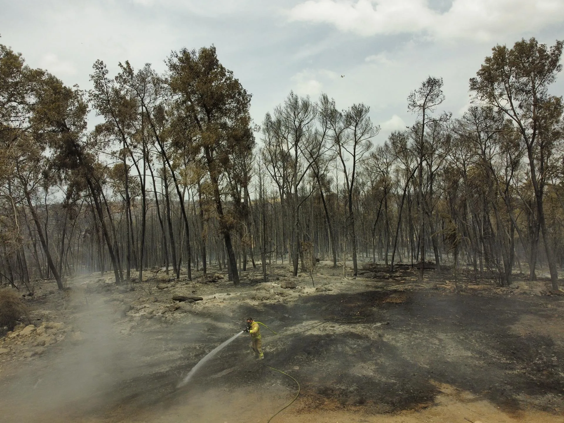 bomberos-dan-por-controlado-incendio-en-los-montes-cerca-de-jerusalen