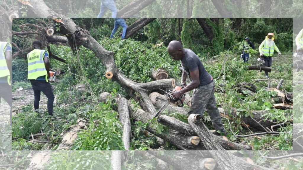 hallan-tres-cuerpos-en-jamaica-tras-el-paso-del-huracan-melissa