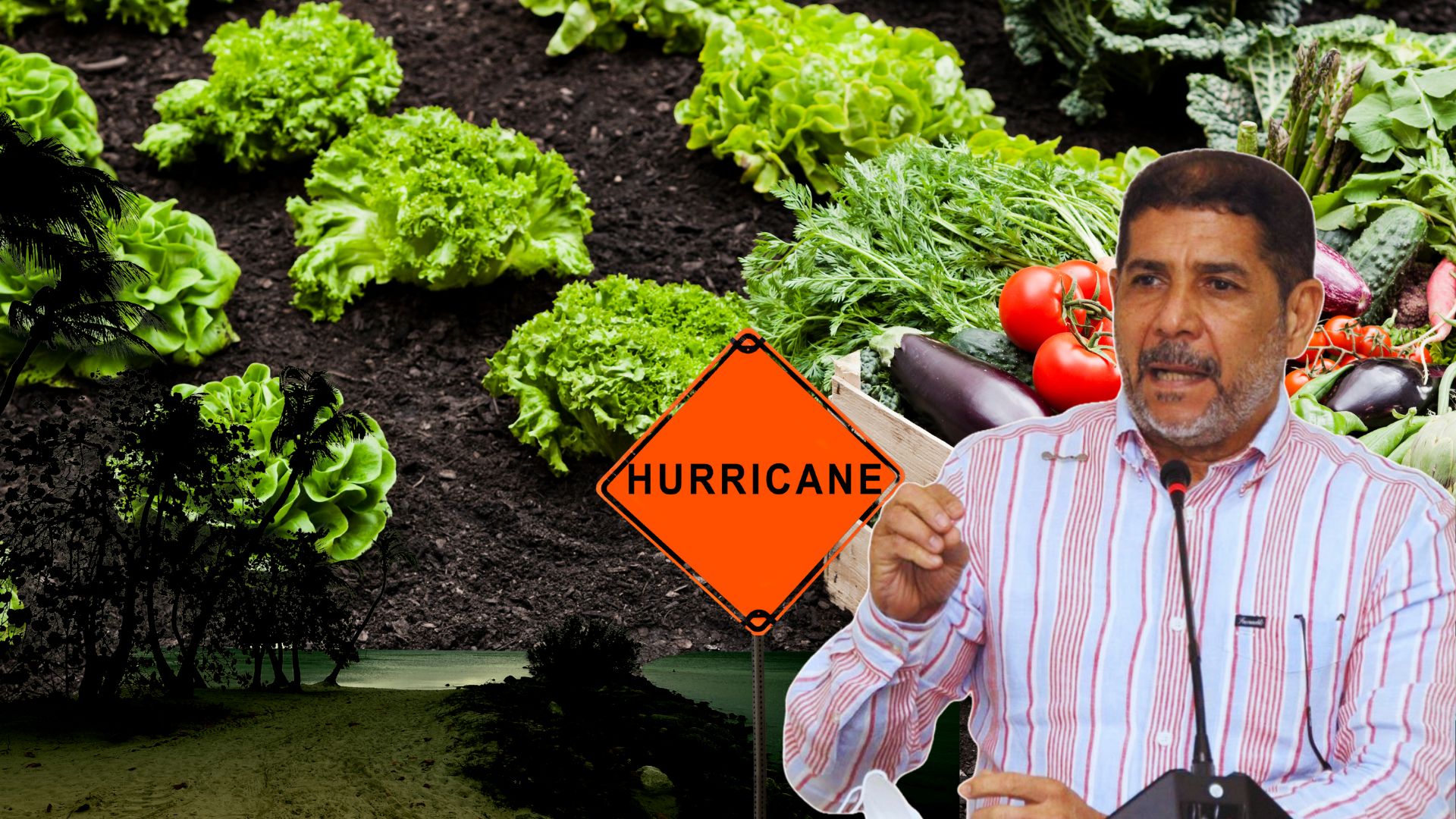 agricultura-pide-rd$1,800-millones-tras-danos-del-huracan-melissa;-mas-de-36-mil-tareas-agricolas-afectadas
