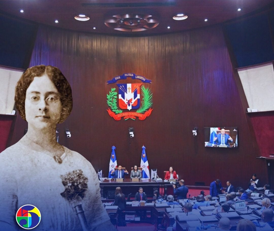 diputados-convierten-en-ley-proyecto-que-declara-a-ercilia-pepin-como-“procer-de-la-patria”