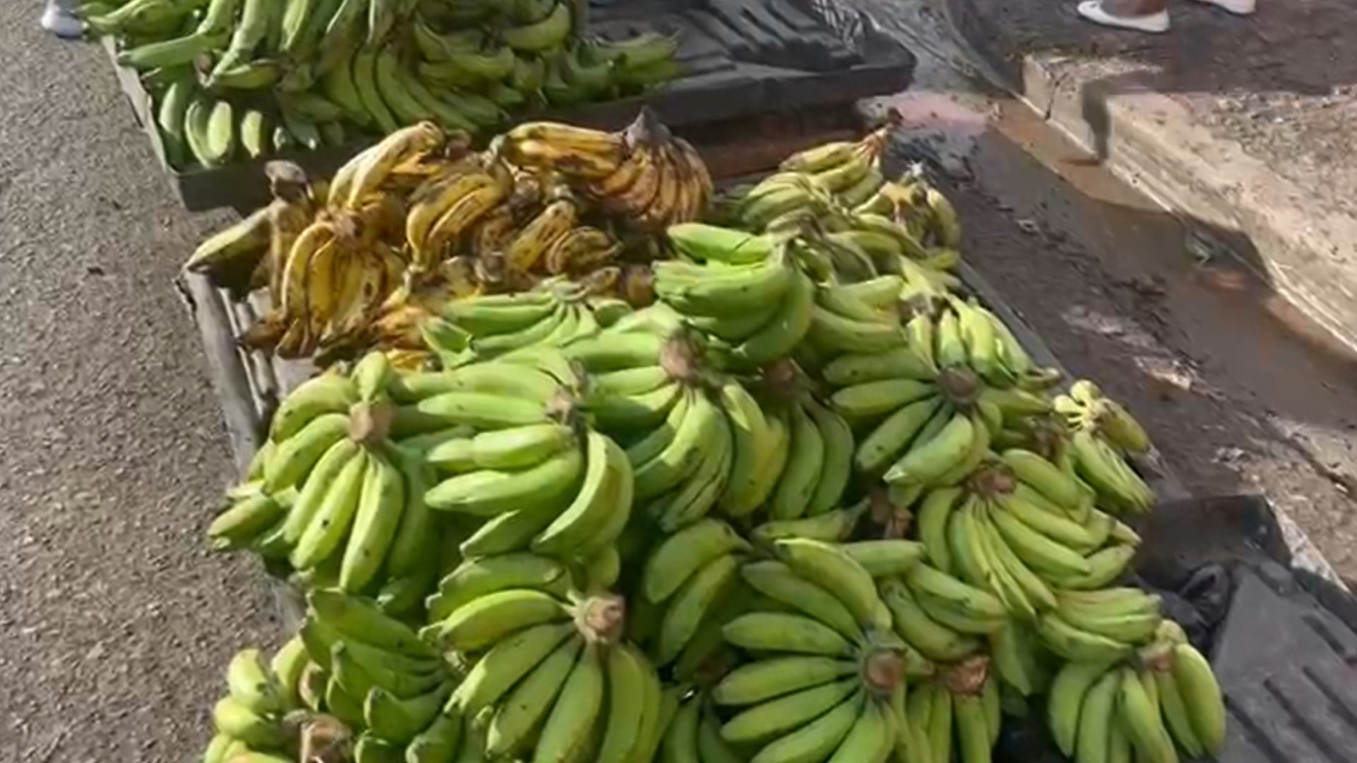 video:-el-alza-del-platano-continua;-afirman-que-el-precio-se-debe-a-varios-factores