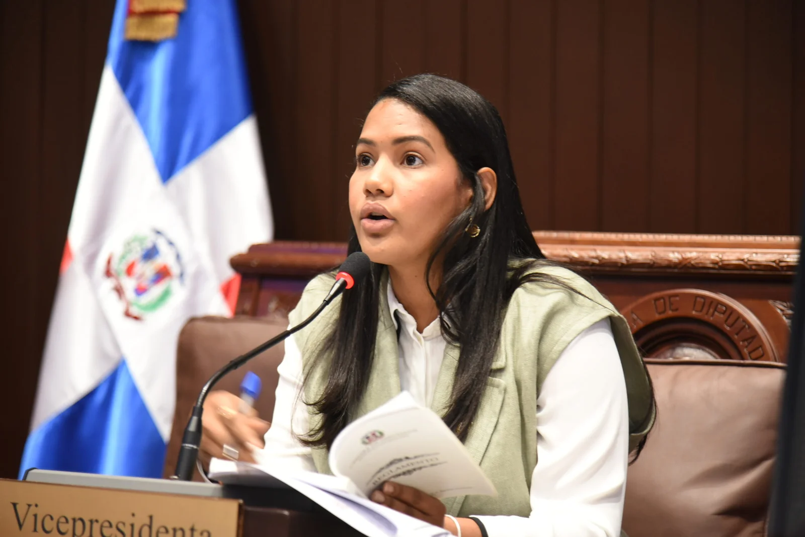 diputada-del-prm:-“este-gobierno-no-es-el-mas-corrupto,-esta-haciendo-justicia”