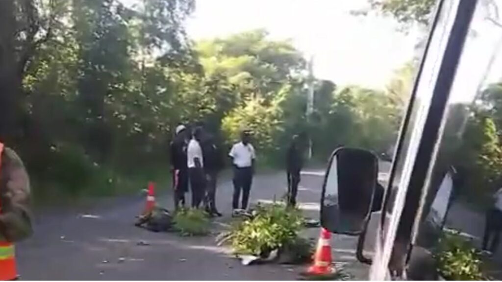 video:-dos-muertos-en-accidente-de-transito-en-bayahibe,-la-altagracia