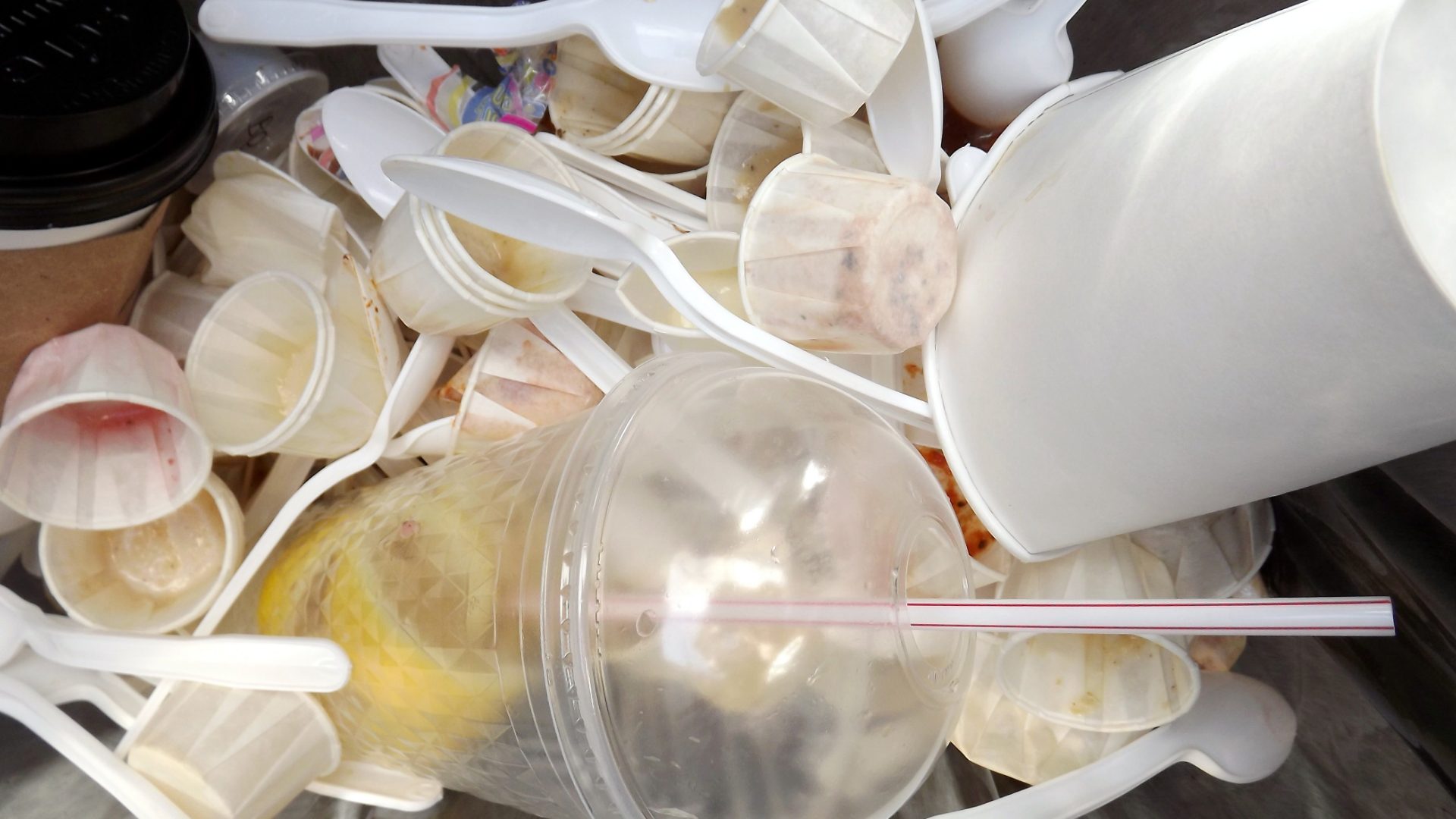 el-pais-con-el-calentamiento-mas-rapido-de-centroamerica-impulsa-el-fin-del-plastico-de-un-solo-uso