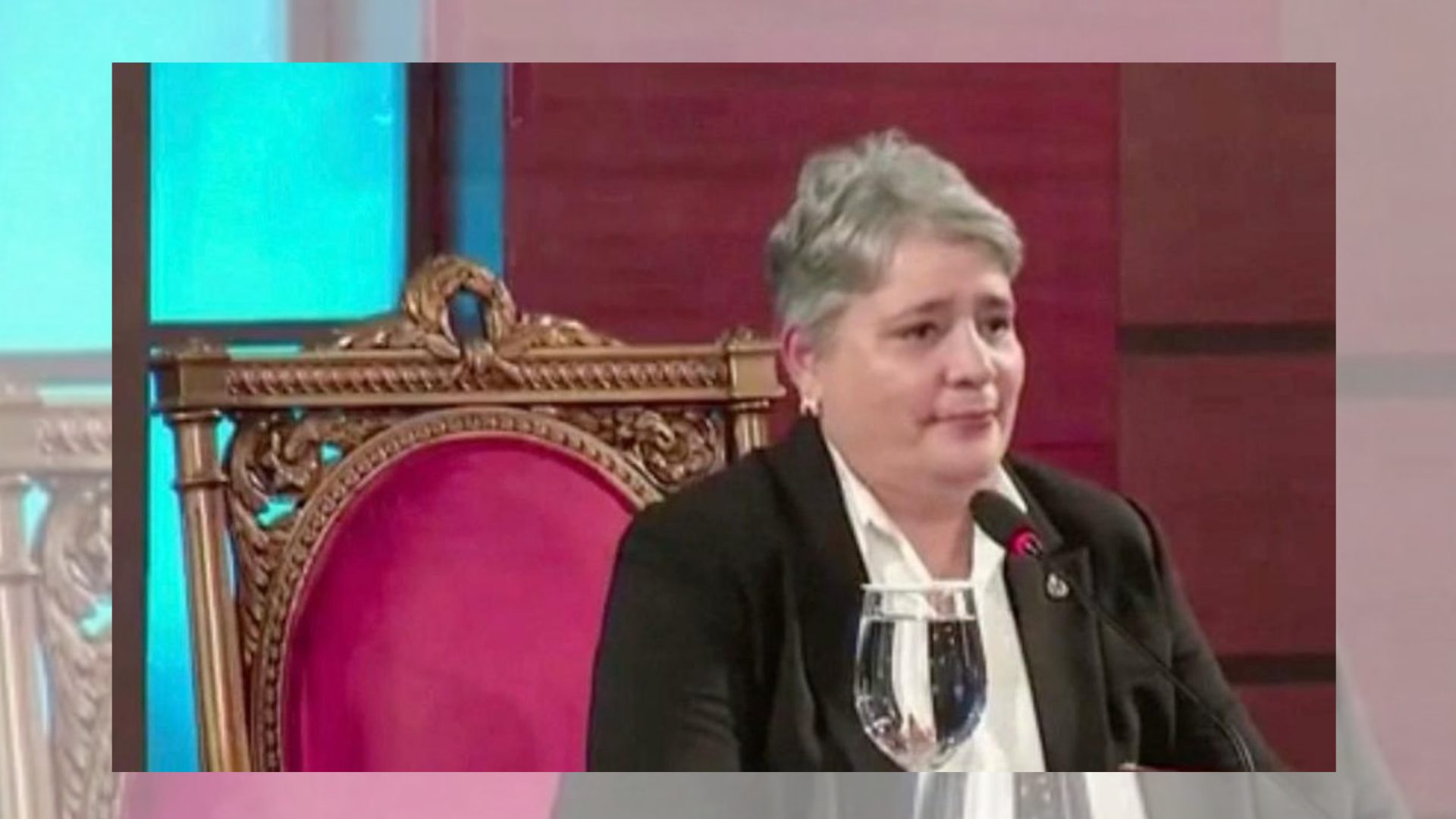arelis-ricourt-propone-una-suprema-mas-moderna-y-eficiente
