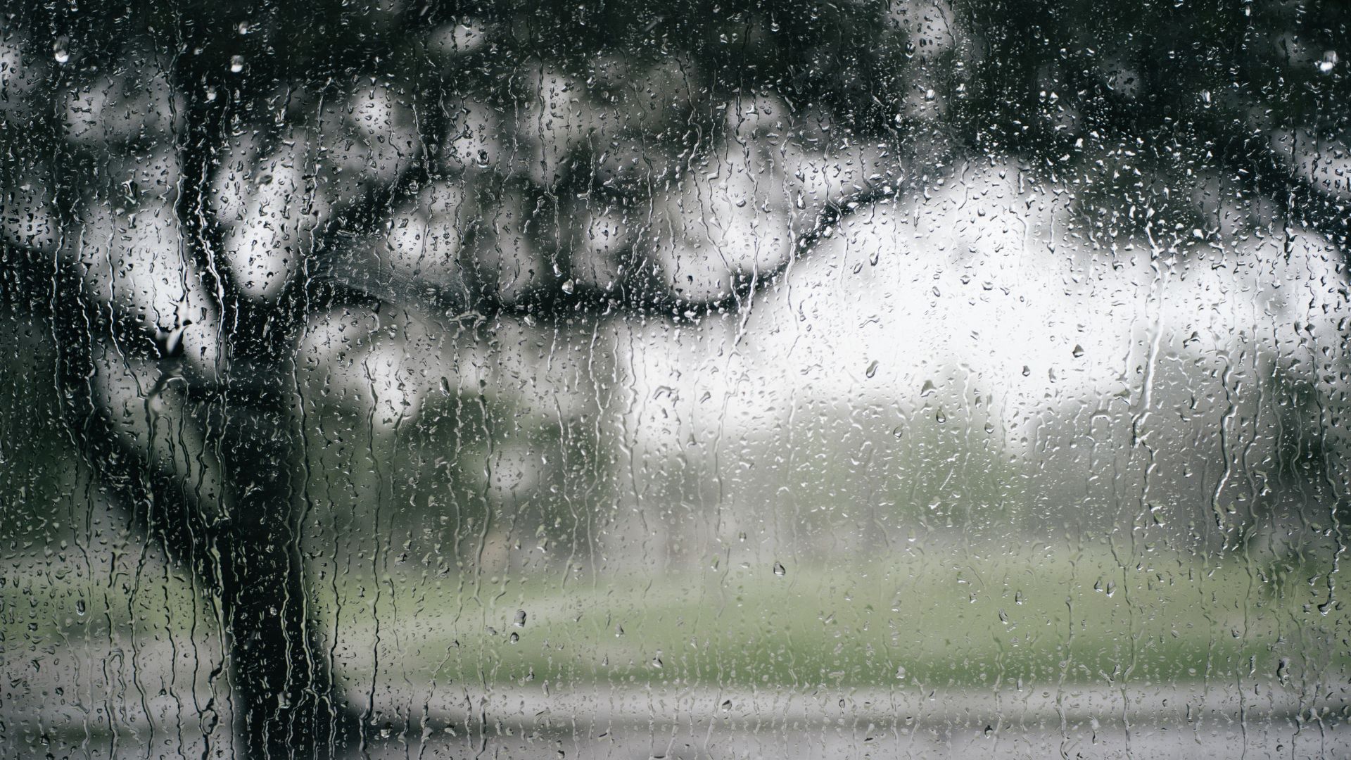 vaguadas-y-arrastre-del-viento-ocasionaran-lluvias-en-especial-al-norte-de-rd