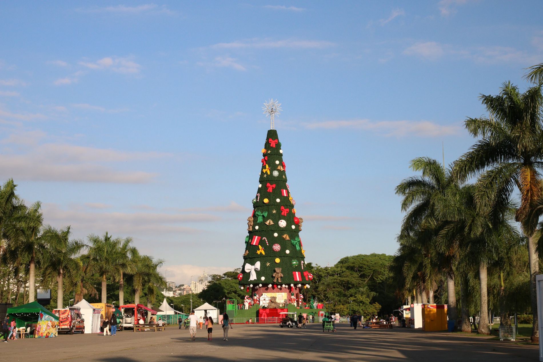 tragedia-navidena:-hombre-murio-por-caida-de-grua-mientras-armaban-arbol