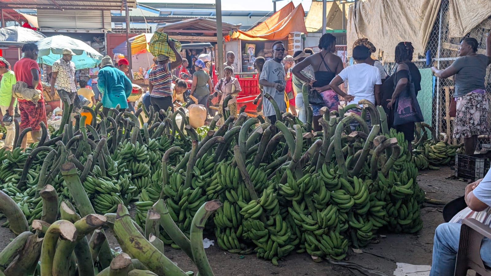 mercado-fronterizo-de-dajabon-vive-desplome-de-ventas-que-afectan-vendedores-dominicanos