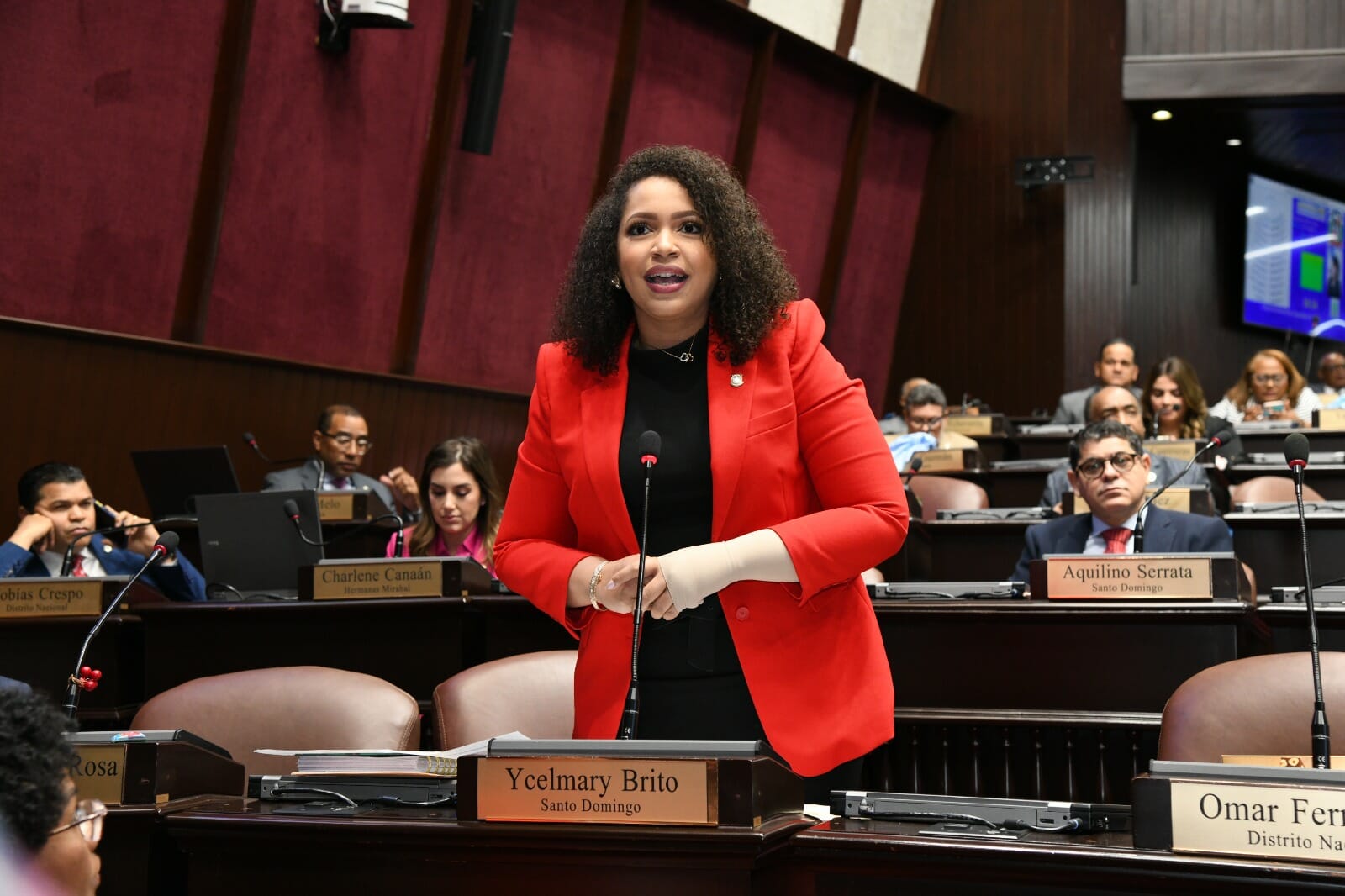 juliana-oneal-llama-a-marchar-este-domingo-por-alto-costo-de-la-vida-y-otros-males