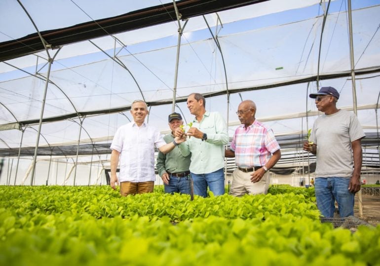 intabaco-producira-15-millones-de-plantas-de-tabaco-para-zafra-2025-2026
