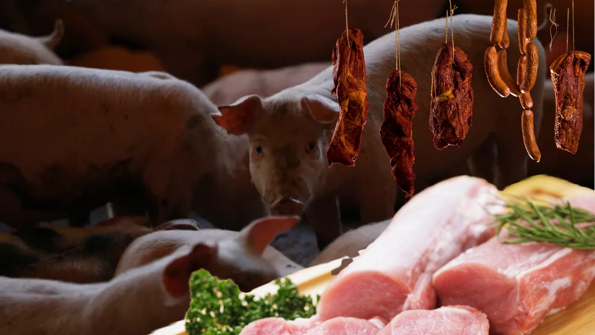 rd-suspende-importacion-de-cerdo-desde-espana-por-brote-sanitario