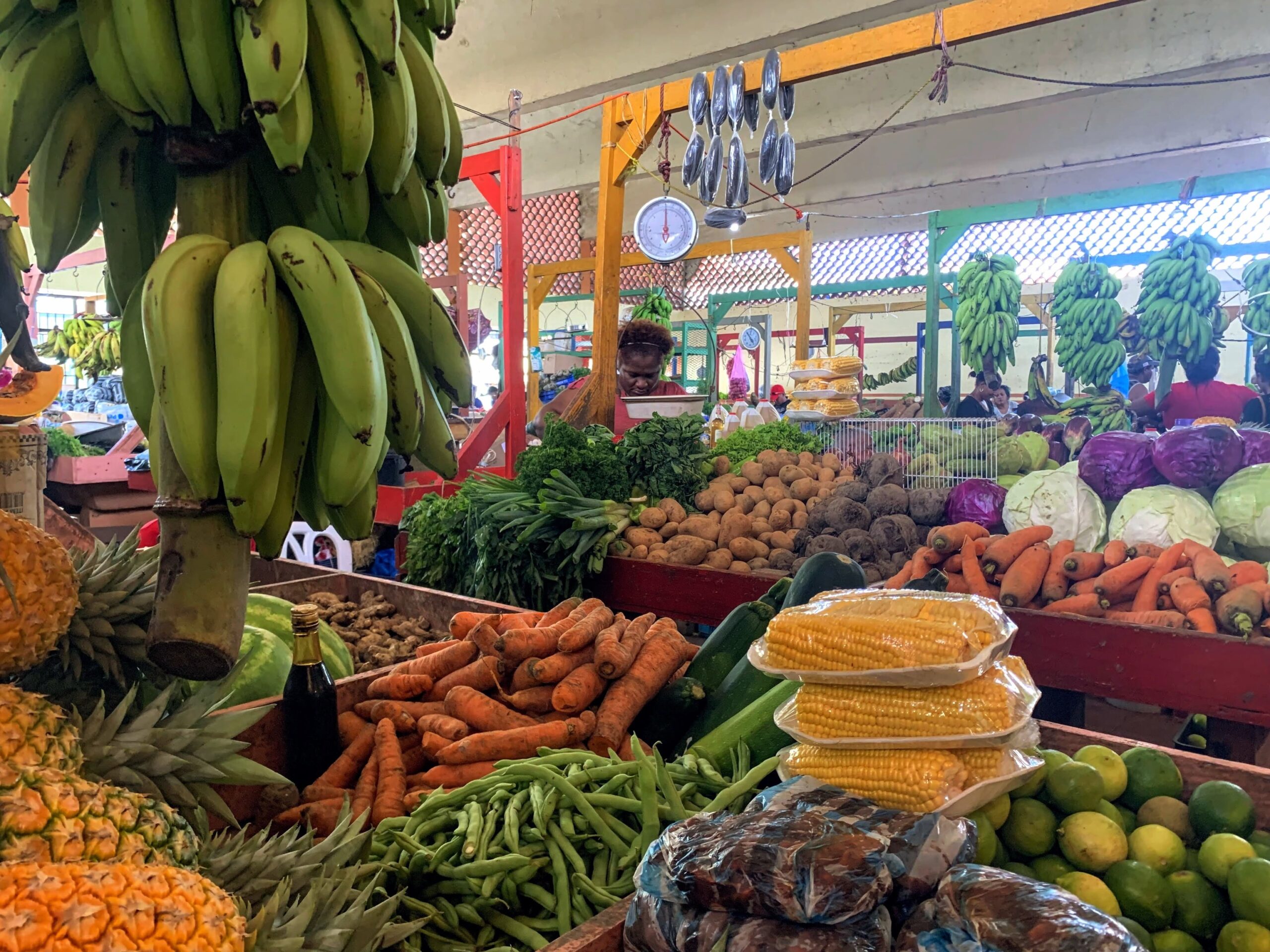 video:-comerciantes-del-mercado-de-santa-barbara,-samana,-piden-acceso-a-prestamos-para-evitar-quiebra