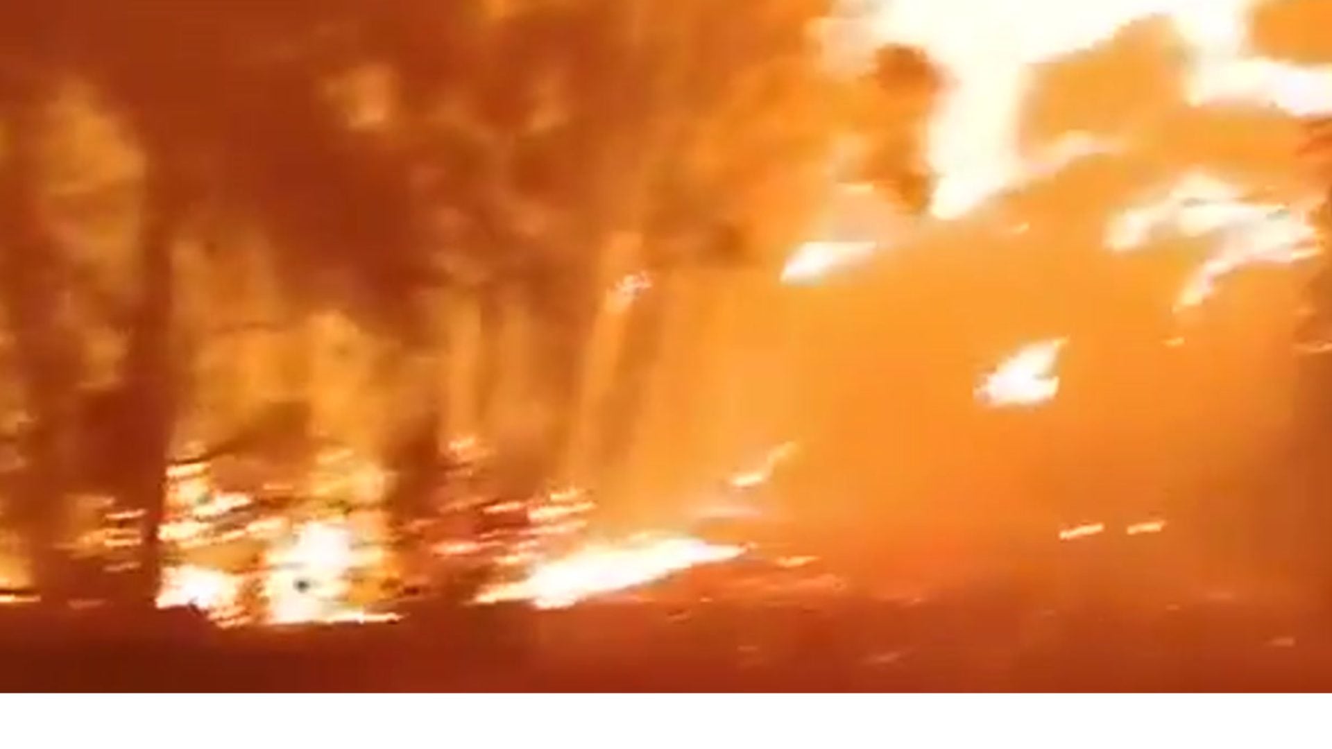 video:-¡chile-en-llamas!-incendio-forestal-afecta-mas-de-1.800-hectareas