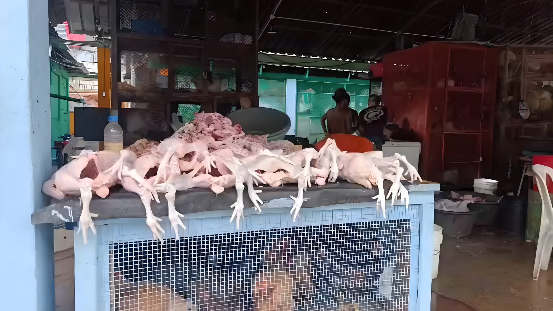 ¿pollo-a-200-pesos?-la-crisis-que-amenaza-la-cena-navidena-de-los-dominicanos
