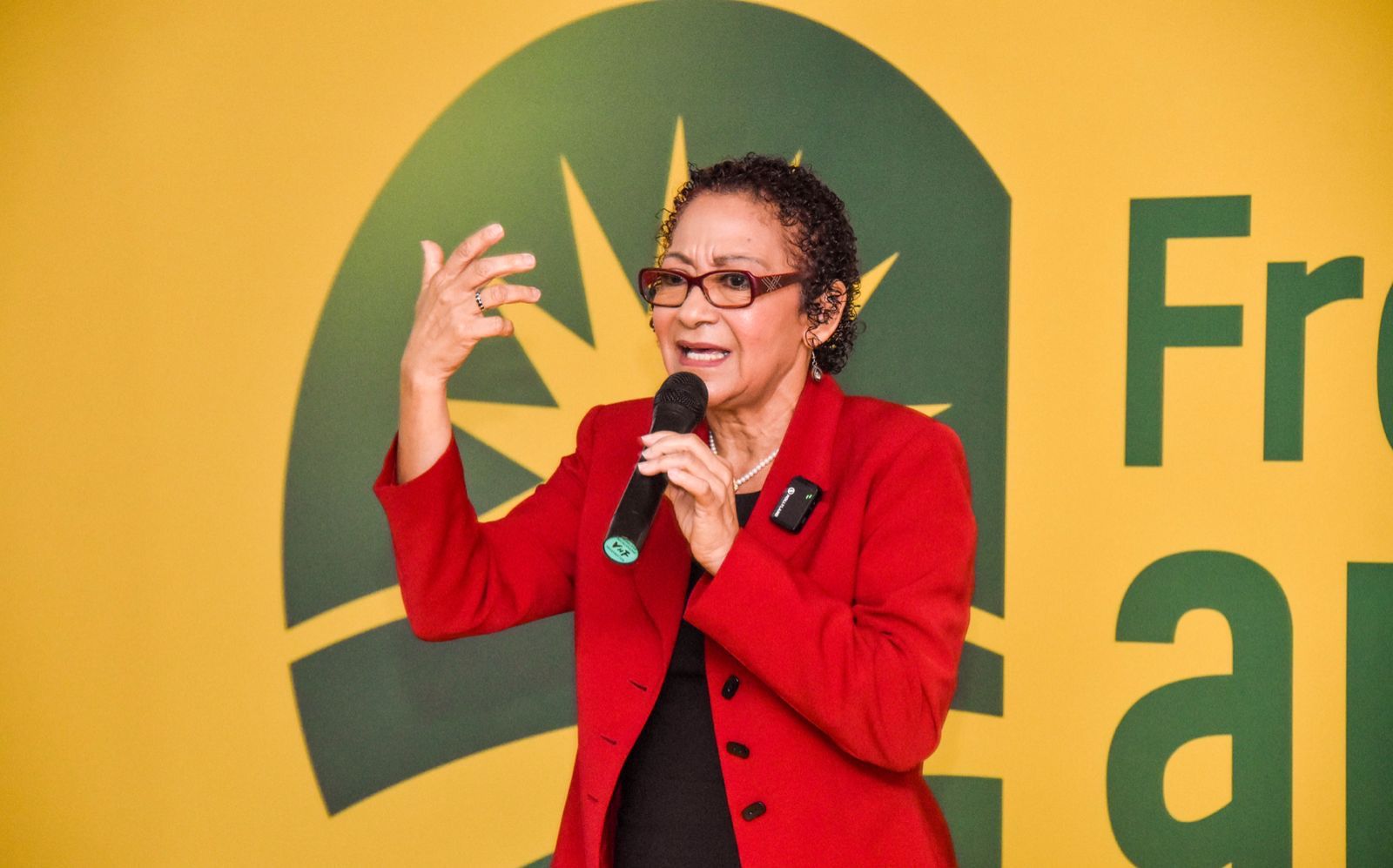 frente-amplio-pide-aplicar-todo-el-peso-de-la-ley-contra-los-hermanos-espaillat