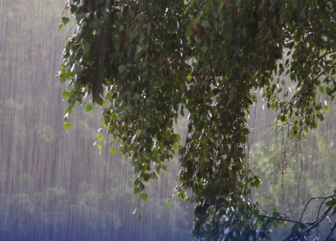lluvias-aisladas-y-posibles-rafagas-de-viento-este-domingo