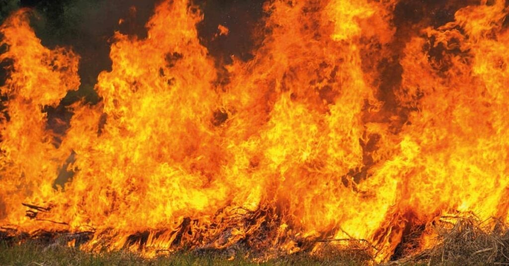 incendio-destruye-siete-establecimientos-comerciales-en-santiago;-no-se-reportan-heridos-ni-victimas