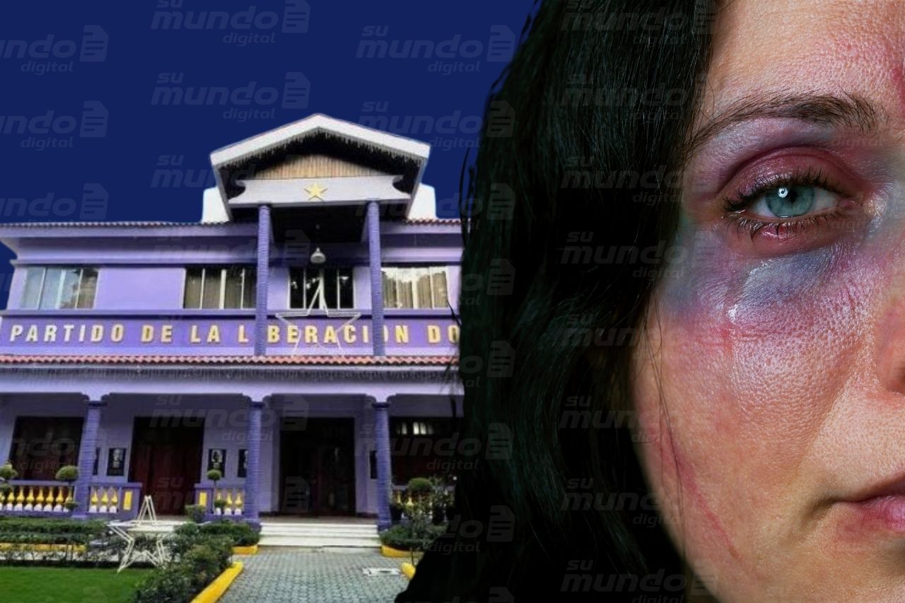 pld-reclama-politicas-publicas-que-enfrenten-de-raiz-la-violencia-contra-las-mujeres