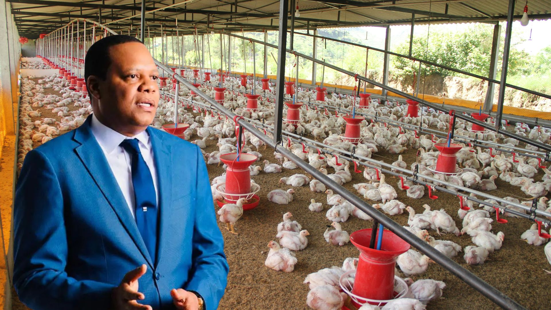 gobierno-dominicano-ordena-importacion-de-pollo-ante-aumento-de-precios