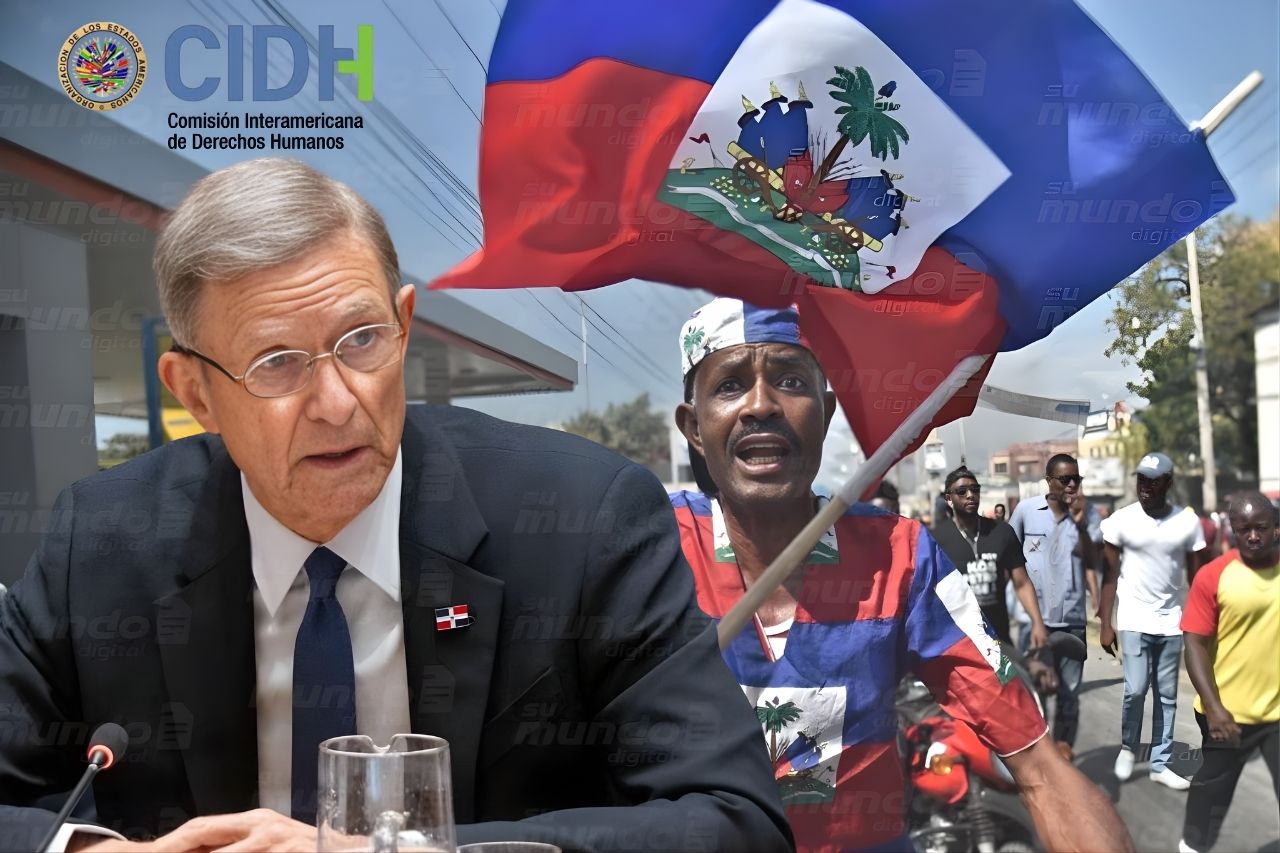 rd-a-la-cihd-sobre-migracion:-“protegemos-derechos-humanos,-pero-no-podemos-asumir-crisis-de-haiti’”
