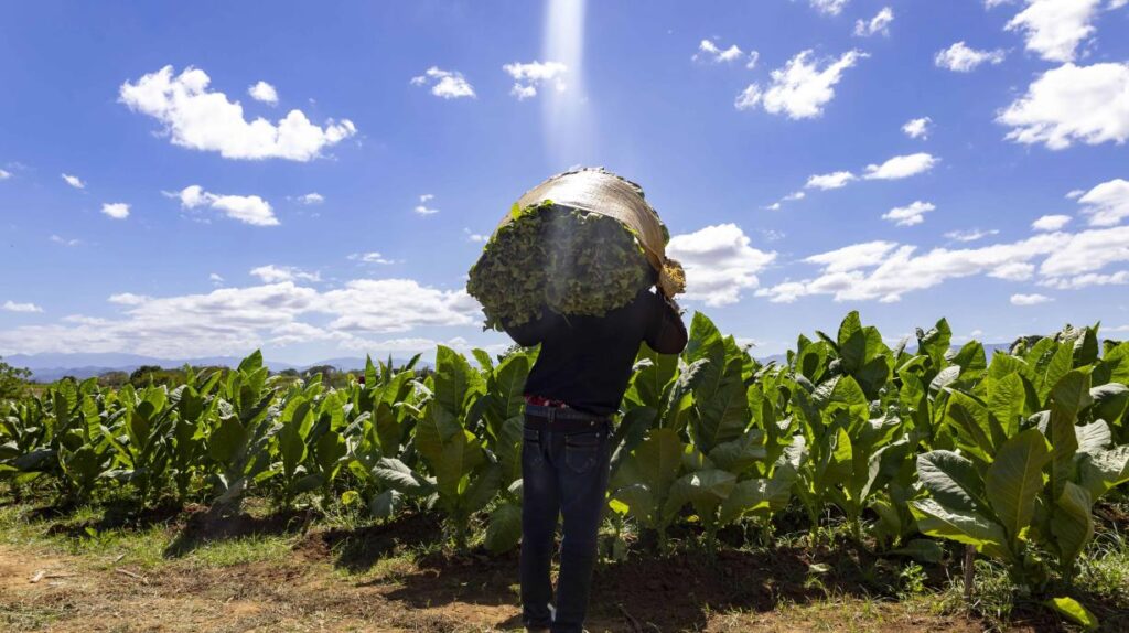 video:-agricultores-de-dajabon-rechazan-nombramiento-de-nuevo-encargado-de-agricultura