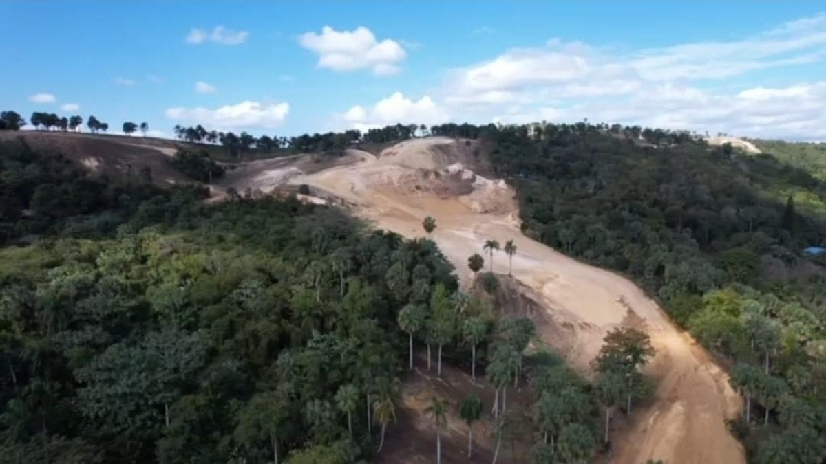 video:-ciudadanos-de-la-vega-denuncian-tala-indiscriminada-de-arboles-en-la-loma-del-santo-cerro