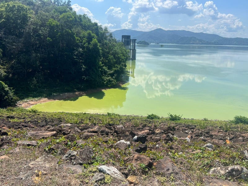 video:-vida-humama-y-acuatica-peligra-por-contaminacion-de-presa-de-hatillo