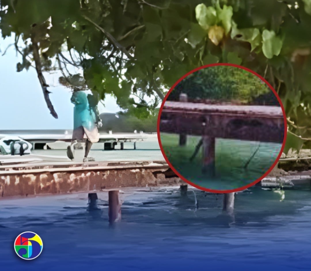 denuncian-condiciones-criticas-en-muelle-de-cayo-levantado-en-samana
