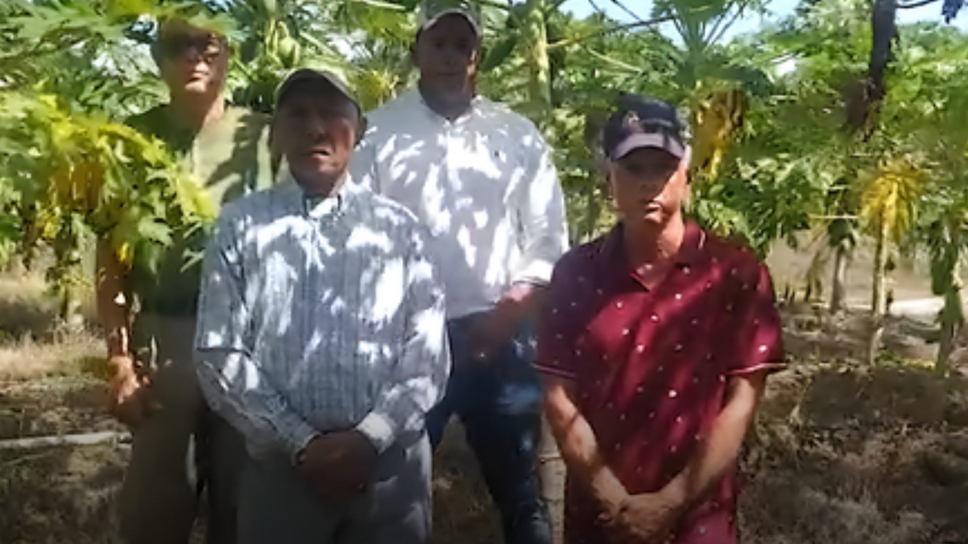 video:-agronomos-en-la-vega-denuncian-supuestos-maltratos-y-reclaman-pensiones-dignas