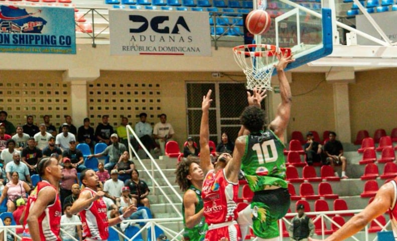 cotorras-del-gustavo-van-hoy-por-la-corona