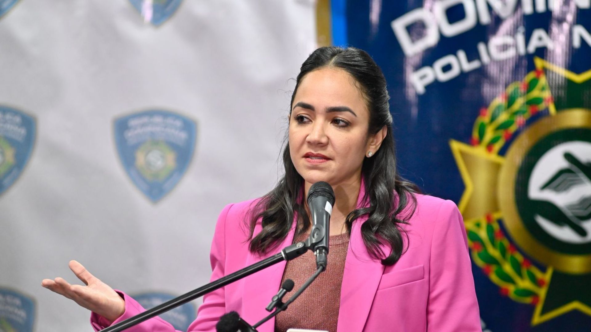«a-pesar-de-las-criticas-estamos-aqui»,-faride-garantiza-seguridad-en-asueto-y-reitera-prohibicion-de-alcohol