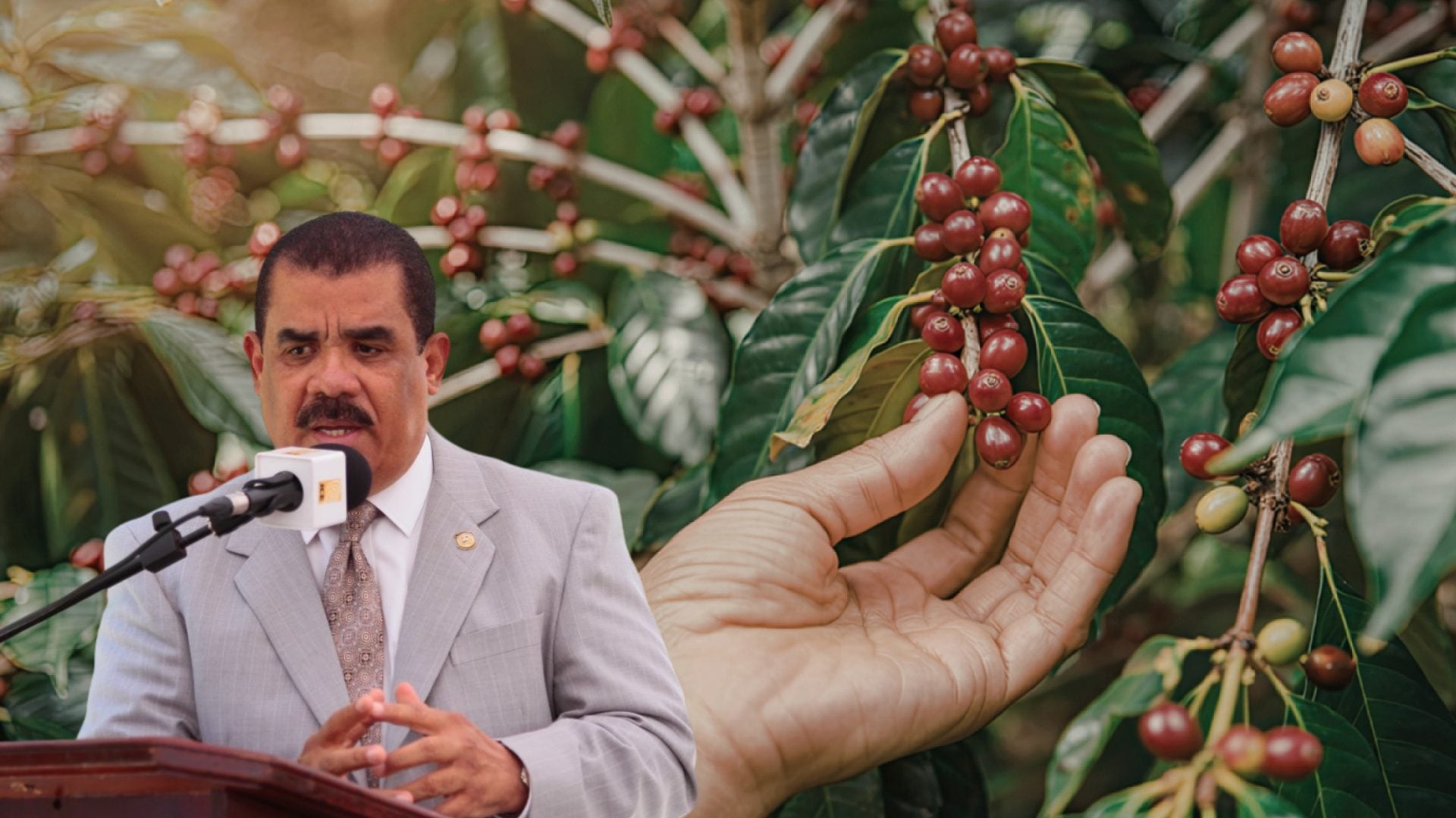 exsenador-llama-al-gobierno-a-saldar-deuda-historica-con-caficultores