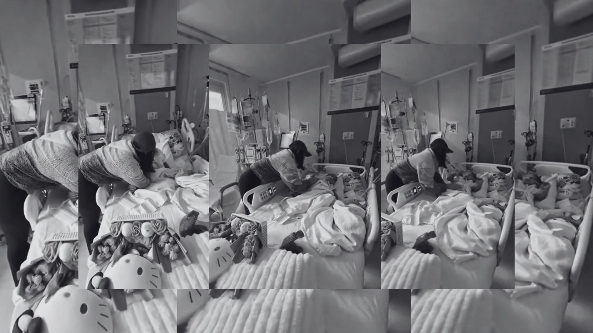 video:-fallece-nina-dominicana-que-luchaba-contra-agresivo-cancer-en-estados-unidos