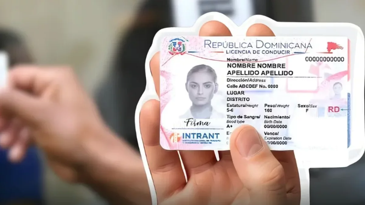 tras-reportajes-de-el-nacional,-presidente-elimina-por-decreto-renovacion-de-licencia-cada-2-anos-a-mayores-de-65-anos