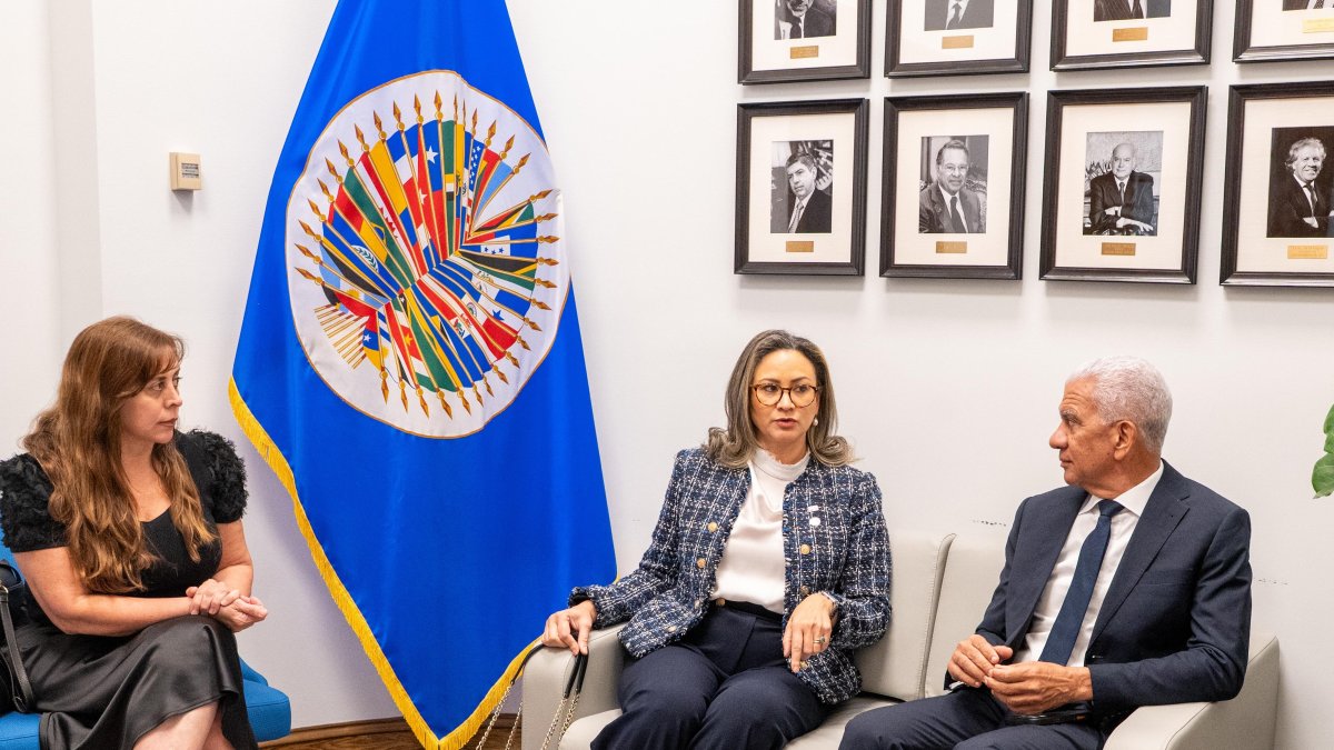 oea-respalda-iniciativa-de-republica-dominicana-contra-el-trafico-de-drogas-sinteticas