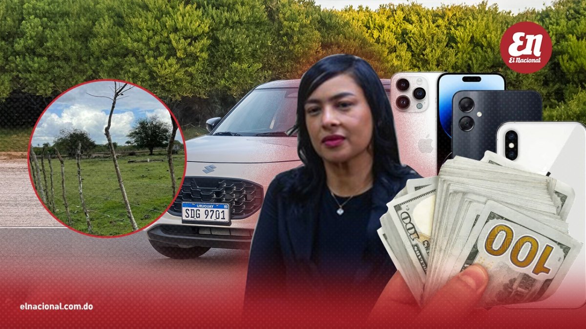 vehiculo,-terreno-y-dinero:-los-bienes-que-debera-devolver-madre-de-menor-caso-wander-franco