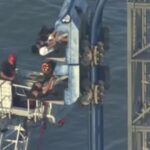 VIDEO: Rescatan ocho personas atrapadas en una montaña rusa en Texas