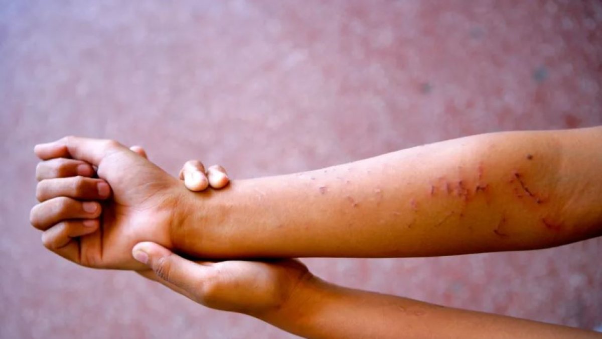 cuando-la-violencia-se-vuelve-crianza:-la-dura-realidad-de-miles-de-ninos-en-republica-dominicana