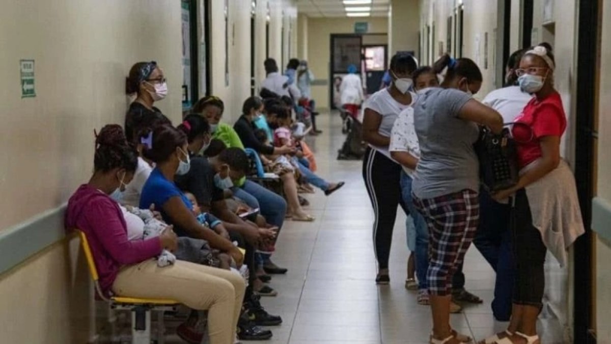 leptospirosis-en-aumento:-115-casos-confirmados-en-solo-cinco-meses