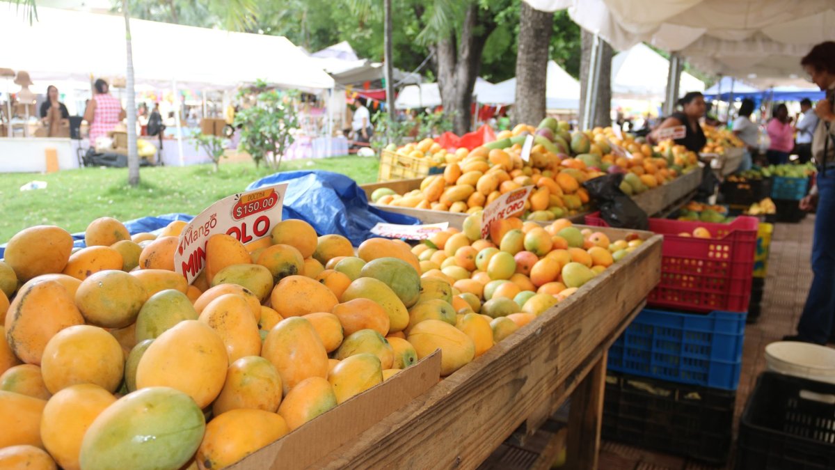 expo-mango-2026-reunira-cultura,-innovacion-y-sabor-en-bani