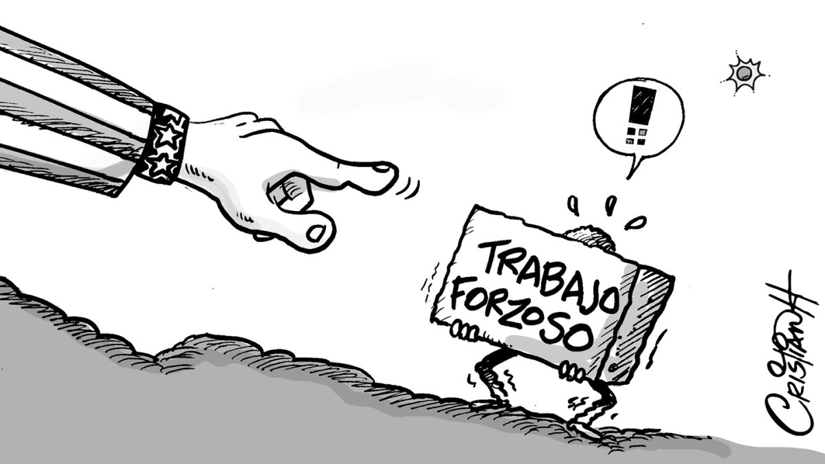 trabajo-forzoso