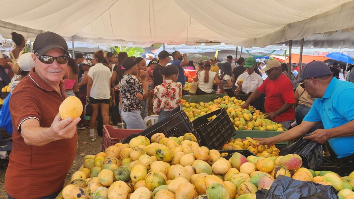 productores-de-mango-plantean-industrializar-la-fruta-tras-exitoso-cierre-de-expo-mango-bani-2026