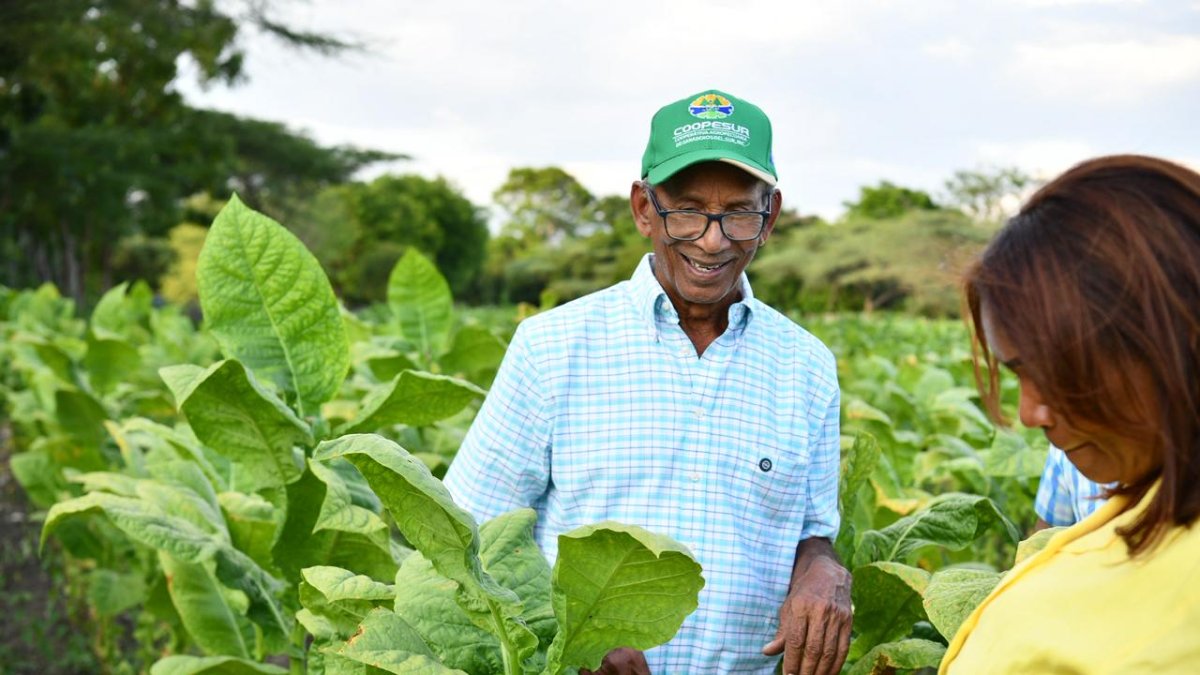 «un-pequeno-prestamo-cambio-mi-vida»,-dice-productor-de-tabaco-sobre-beneficios-del-riego-por-goteo