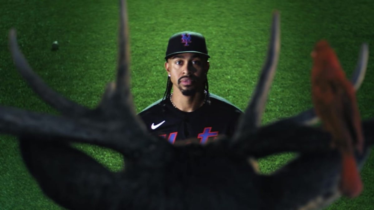 el-extrano-suceso-de-francisco-lindor-en-el-citi-field