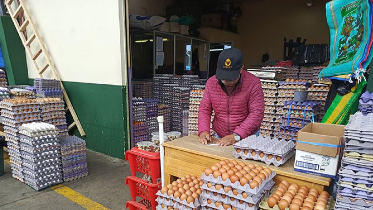 la-industria-avicola-dominicana-produce-14-millones-de-huevos-mensuales,-exportando-el-30%-a-haiti-y-cuba